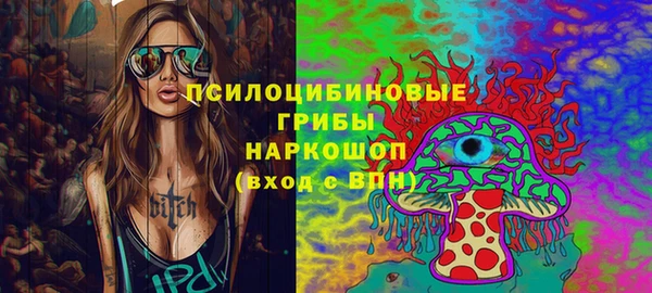 ГАЛЛЮЦИНОГЕННЫЕ ГРИБЫ Алзамай