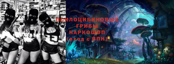 ГАЛЛЮЦИНОГЕННЫЕ ГРИБЫ Алзамай
