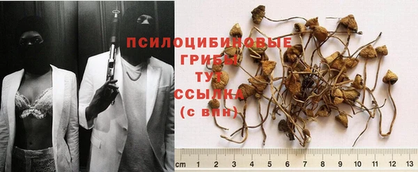 ГАЛЛЮЦИНОГЕННЫЕ ГРИБЫ Алзамай