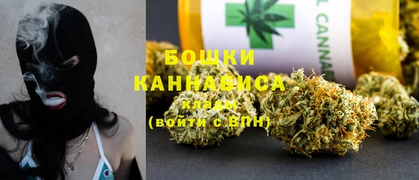 ГАЛЛЮЦИНОГЕННЫЕ ГРИБЫ Алзамай
