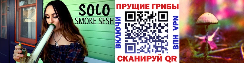 Псилоцибиновые грибы мицелий  где купить наркоту  Рубцовск 