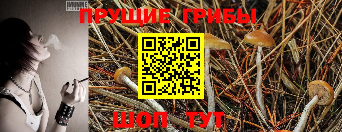 Псилоцибиновые грибы MAGIC MUSHROOMS Рубцовск