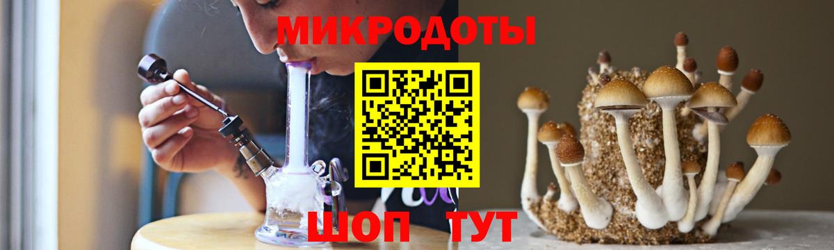Рубцовск  Галлюциногенные грибы MAGIC MUSHROOMS  Вход с VPN 